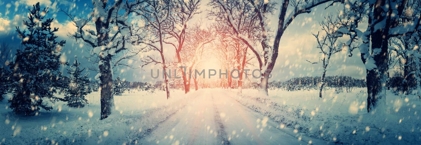winter panorama on the road through coniferous forest