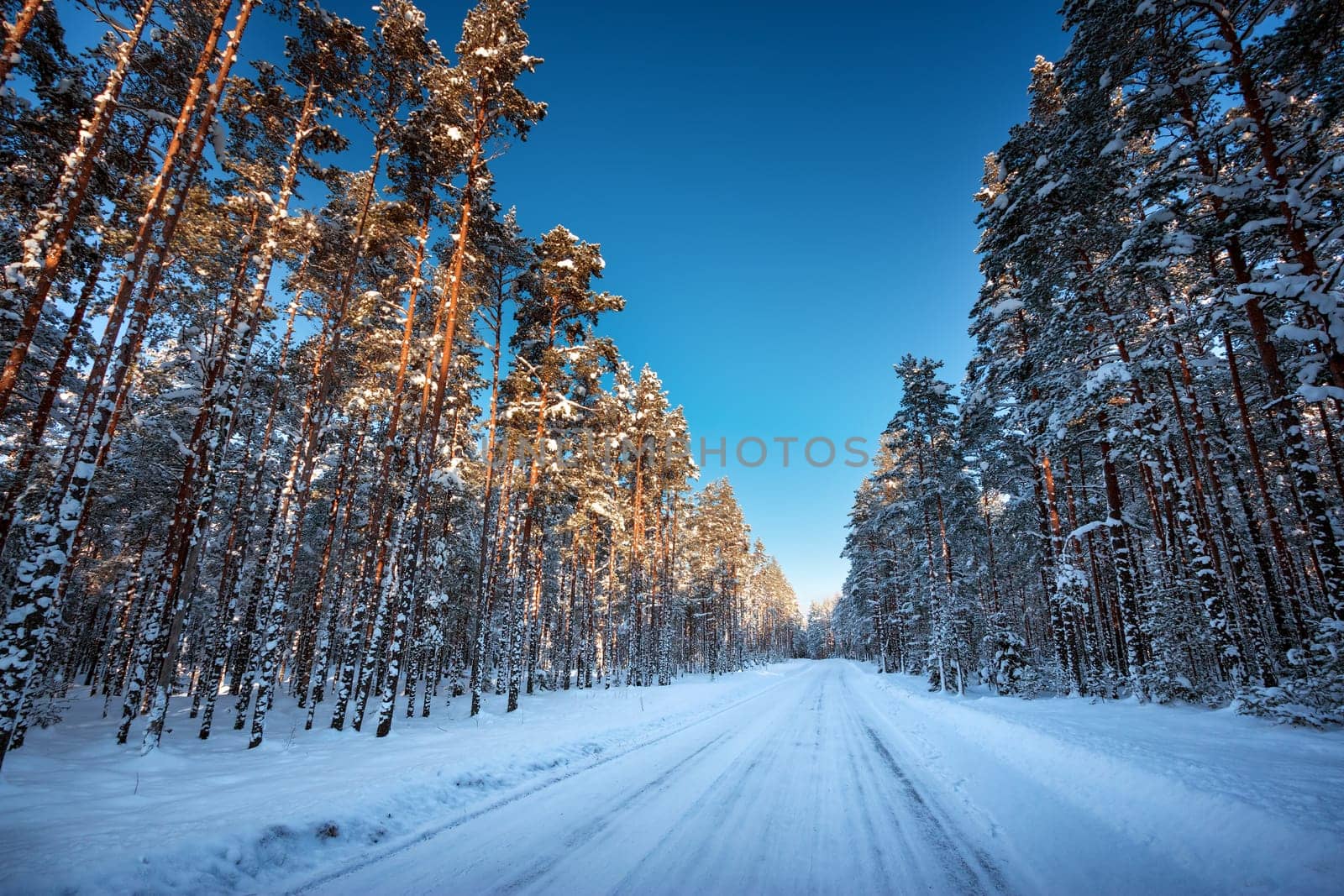 Asphalt road in snowy winter on beautiful frosty sunny day