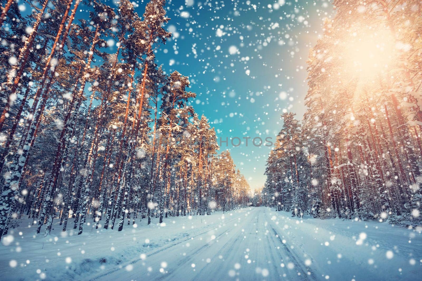 Asphalt road in snowy winter on beautiful frosty sunny day