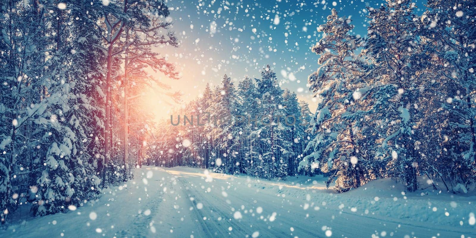 winter panorama on the road through coniferous forest