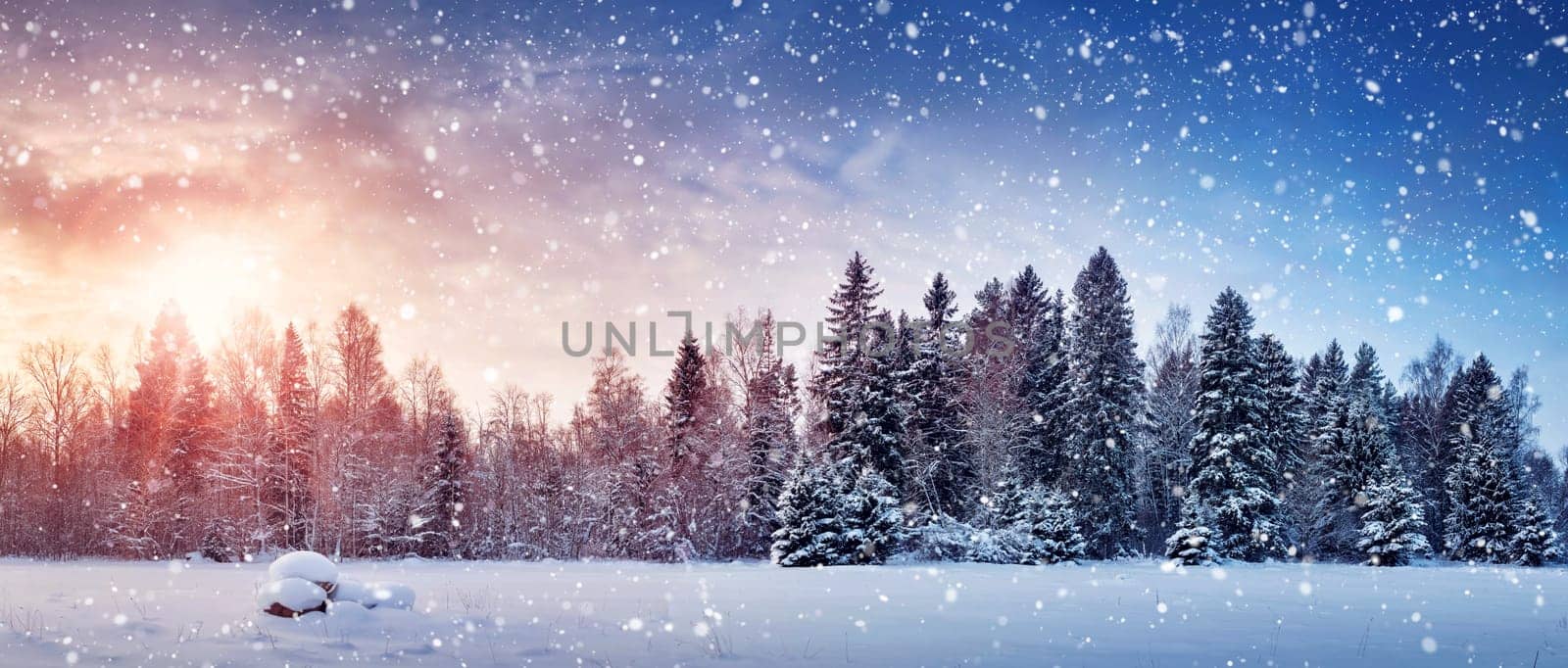 Beautiful tree in winter landscape in late evening in snowfall