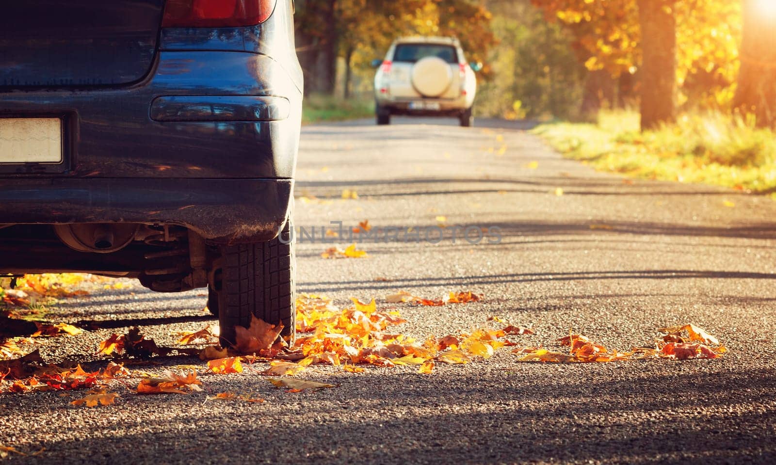 Car on asphalt road on autumnr day at park