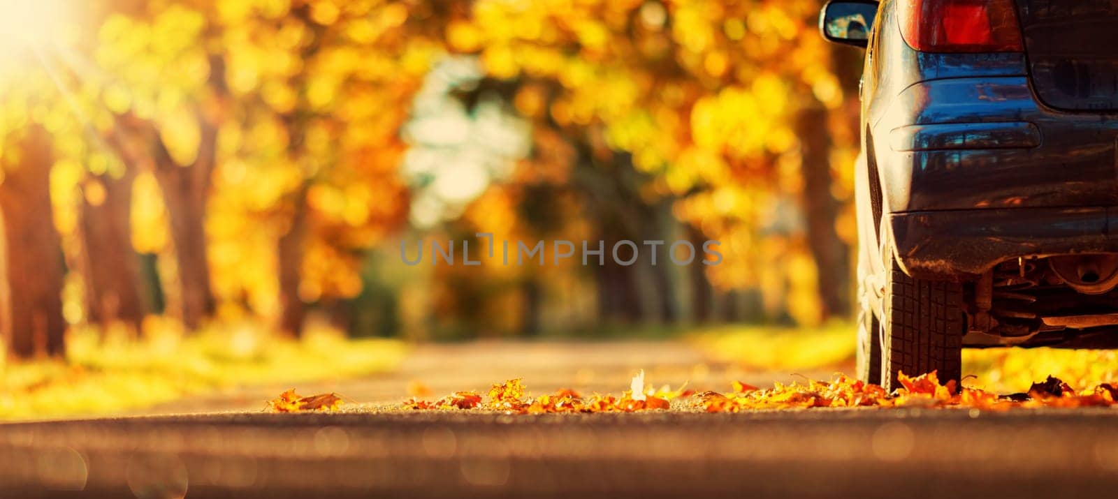 Car on asphalt road on autumnr day at park