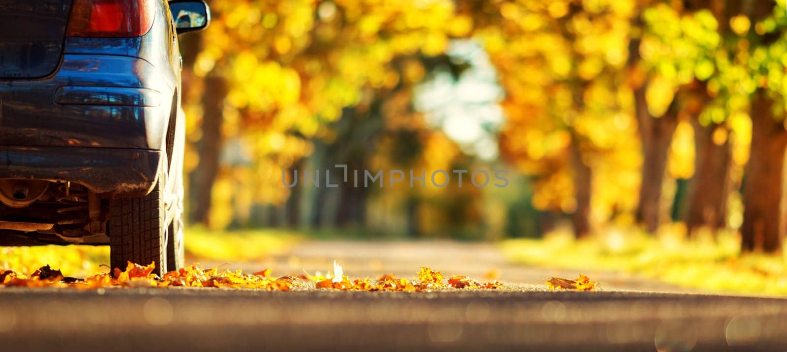 Car on asphalt road on autumnr day at park