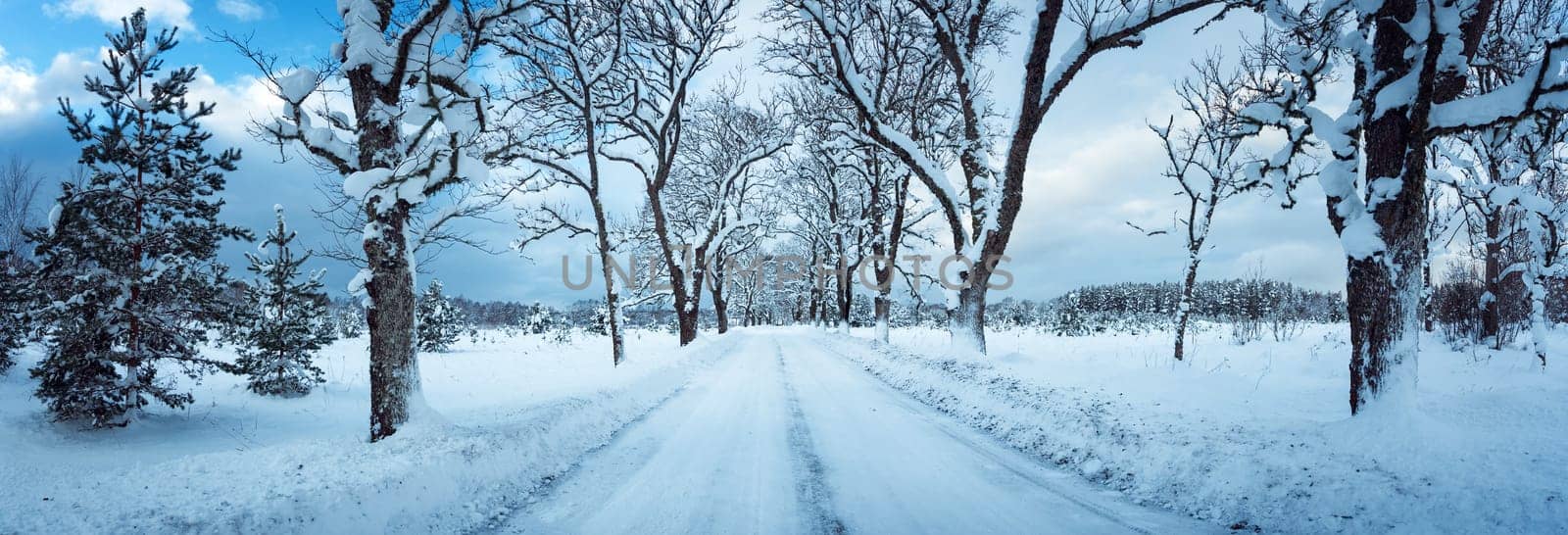 winter panorama on the road through snowy alley