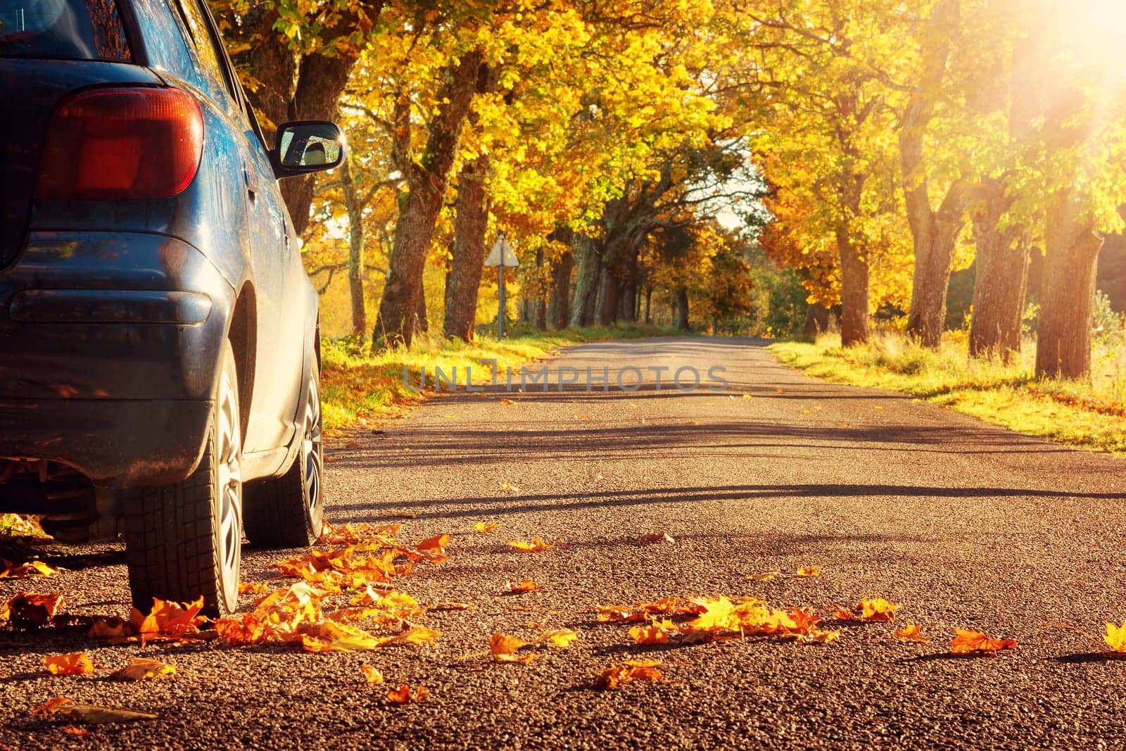 Car on asphalt road on autumnr day at park