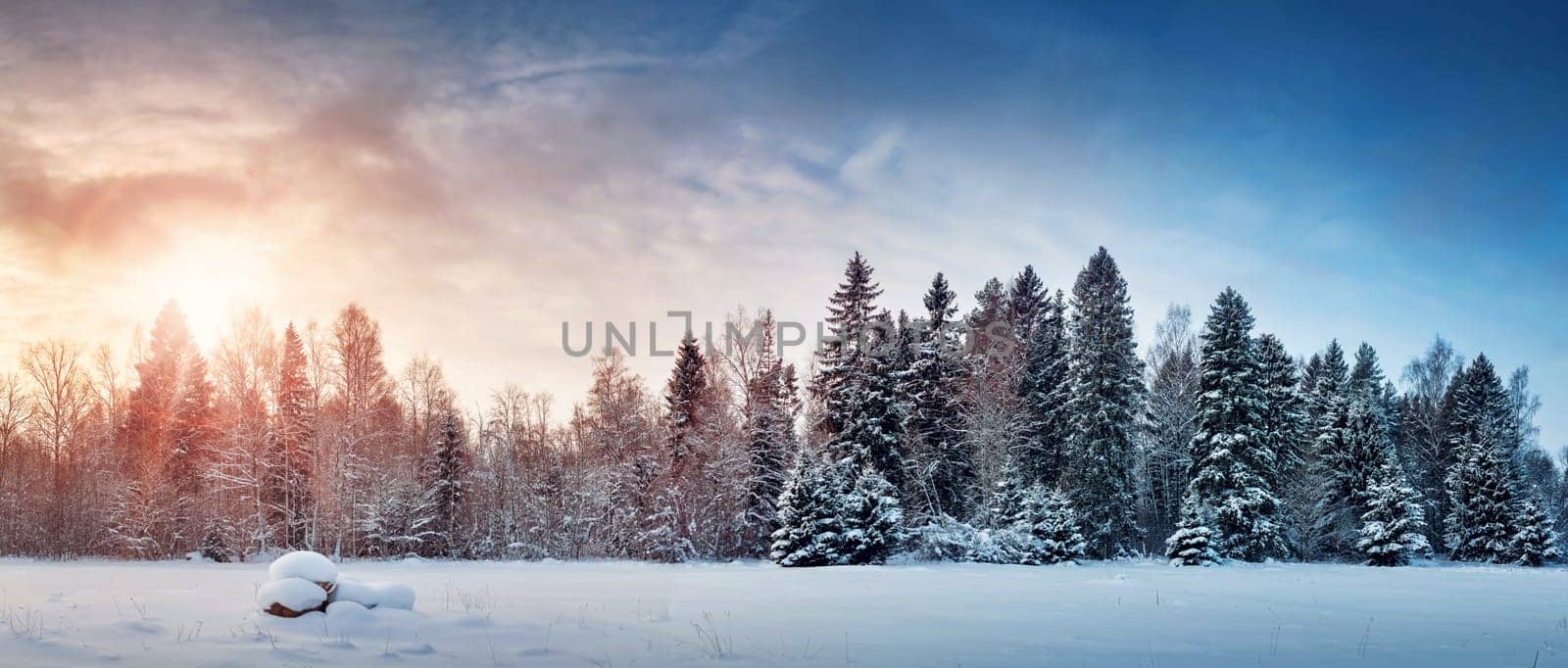 Beautiful tree in winter landscape in late evening in snowfall