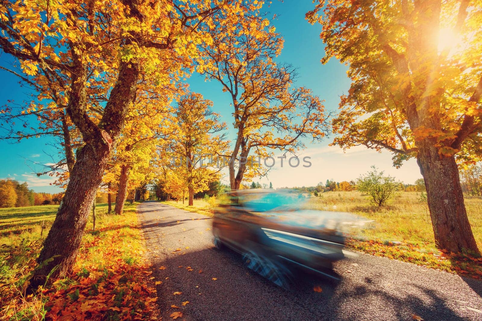 Car on asphalt road on autumnr day at park