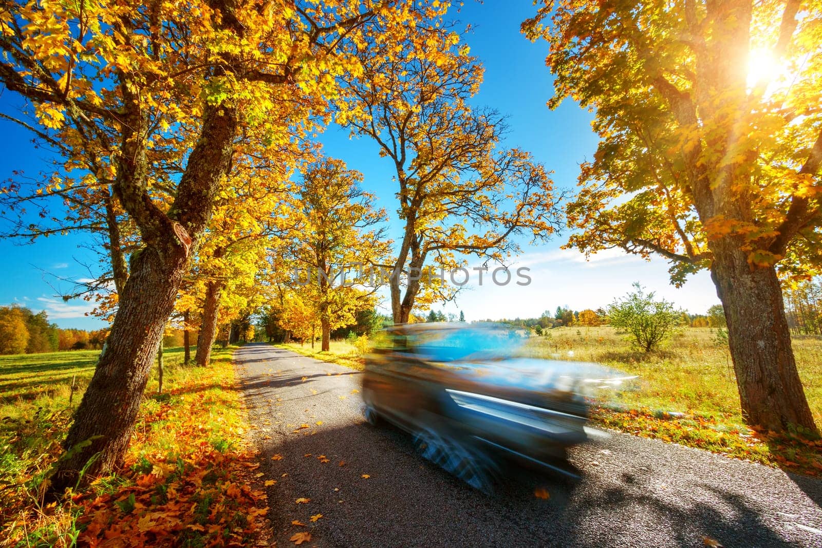 Car on asphalt road on autumnr day at park