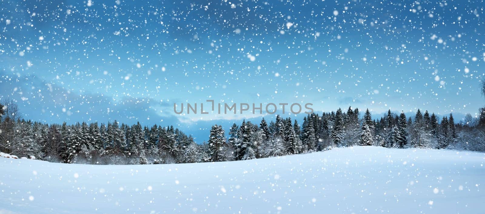Trees in winter landscape in late evening in snowfall