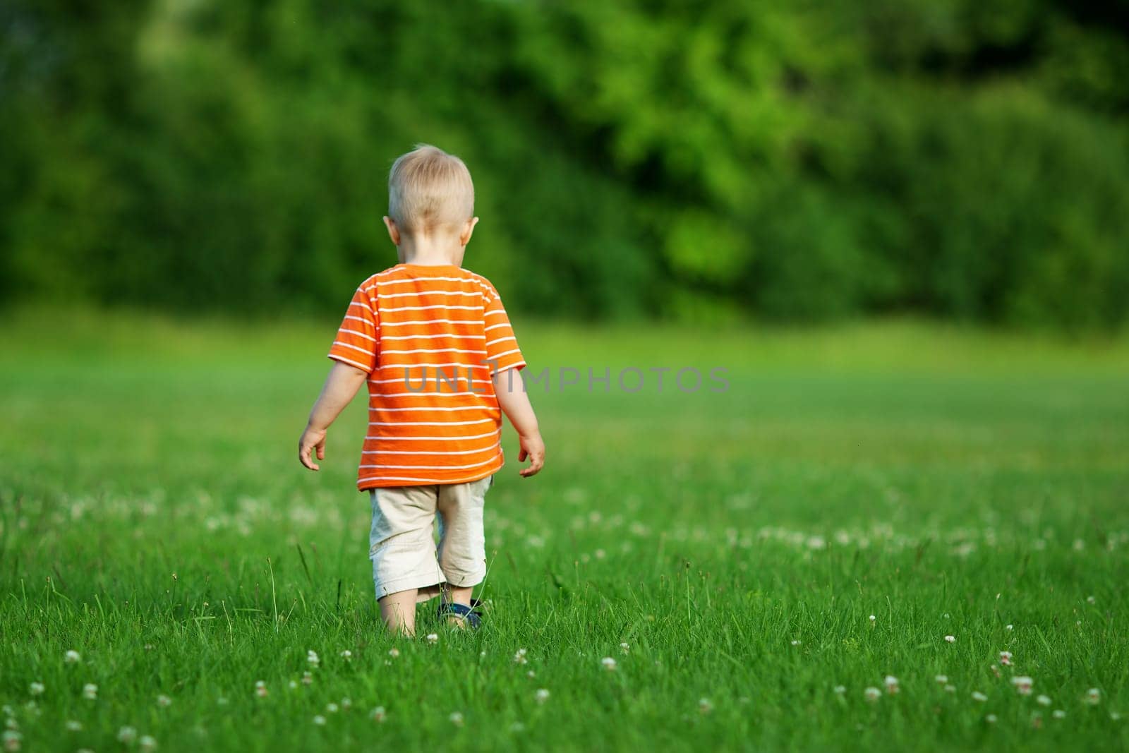 Little boy wolking on the field. Child in the park in summer