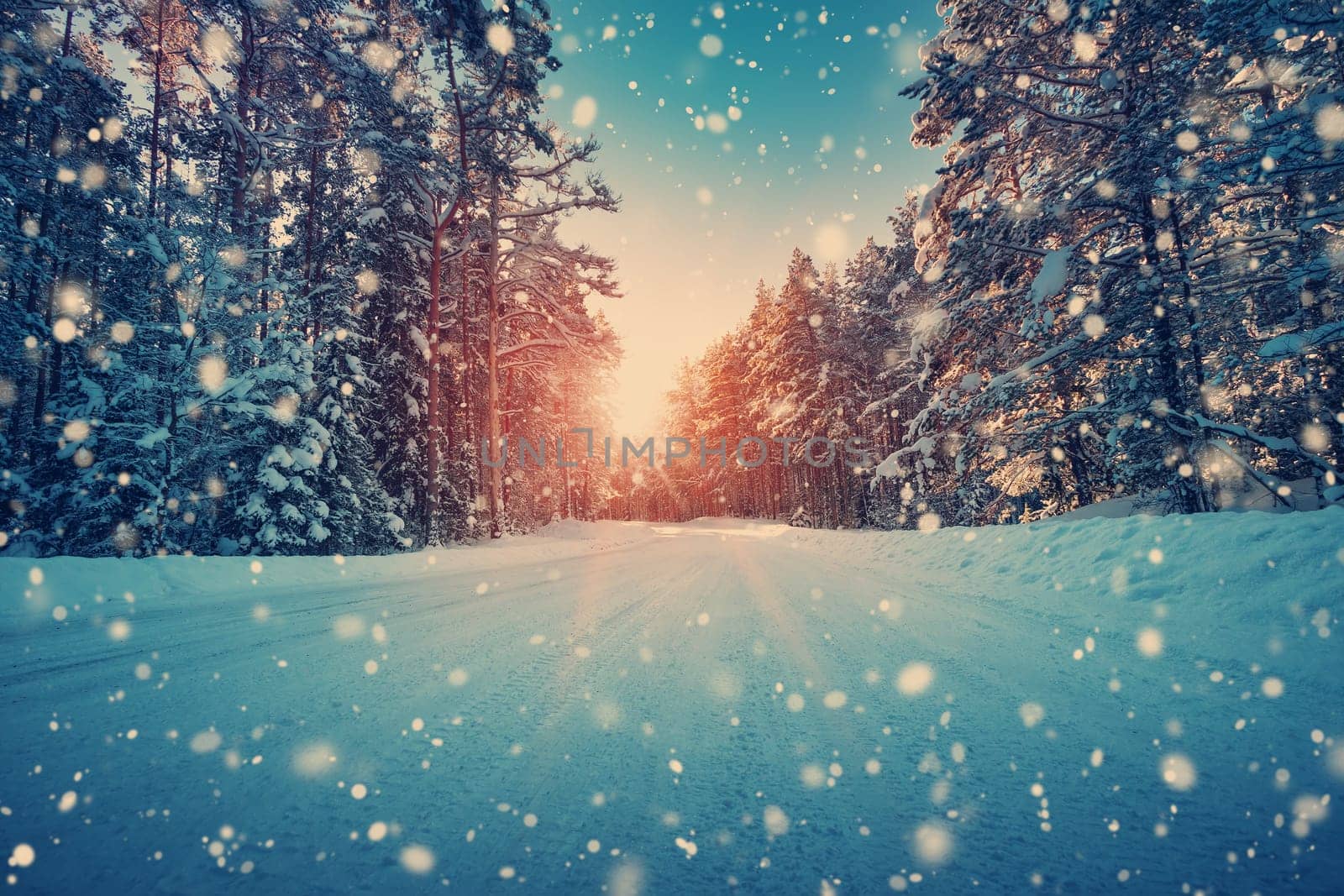 winter panorama on the road through coniferous forest