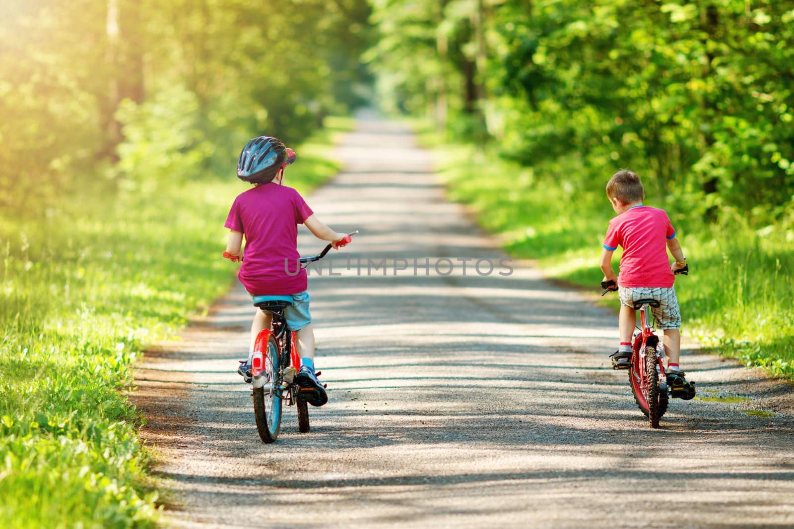 children riding on a bicycles at asphalt road in the park in summer