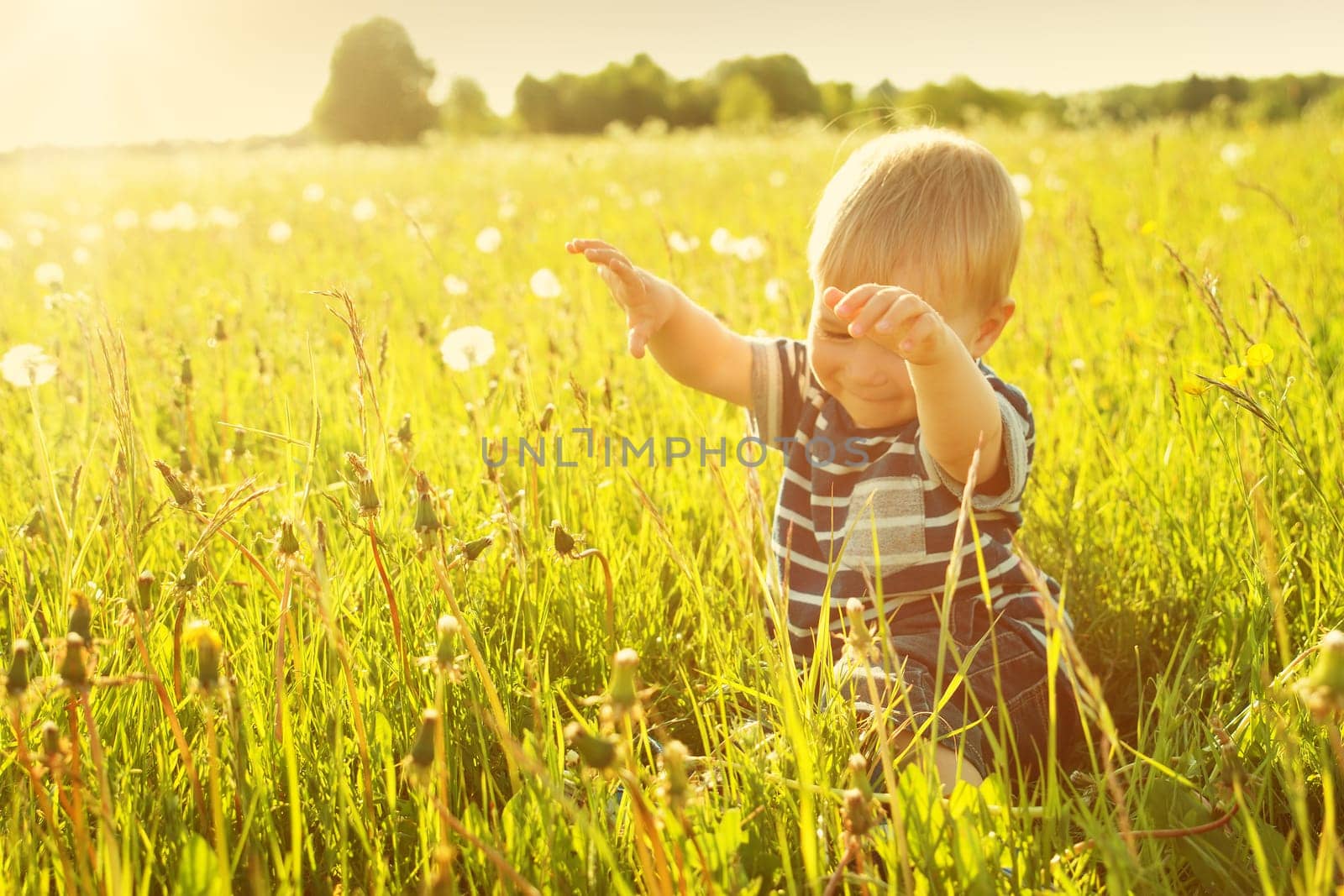Happy baby boy sitting in grass on the fieald with dandelions at sunny summer evening. Smiling child outdoors
