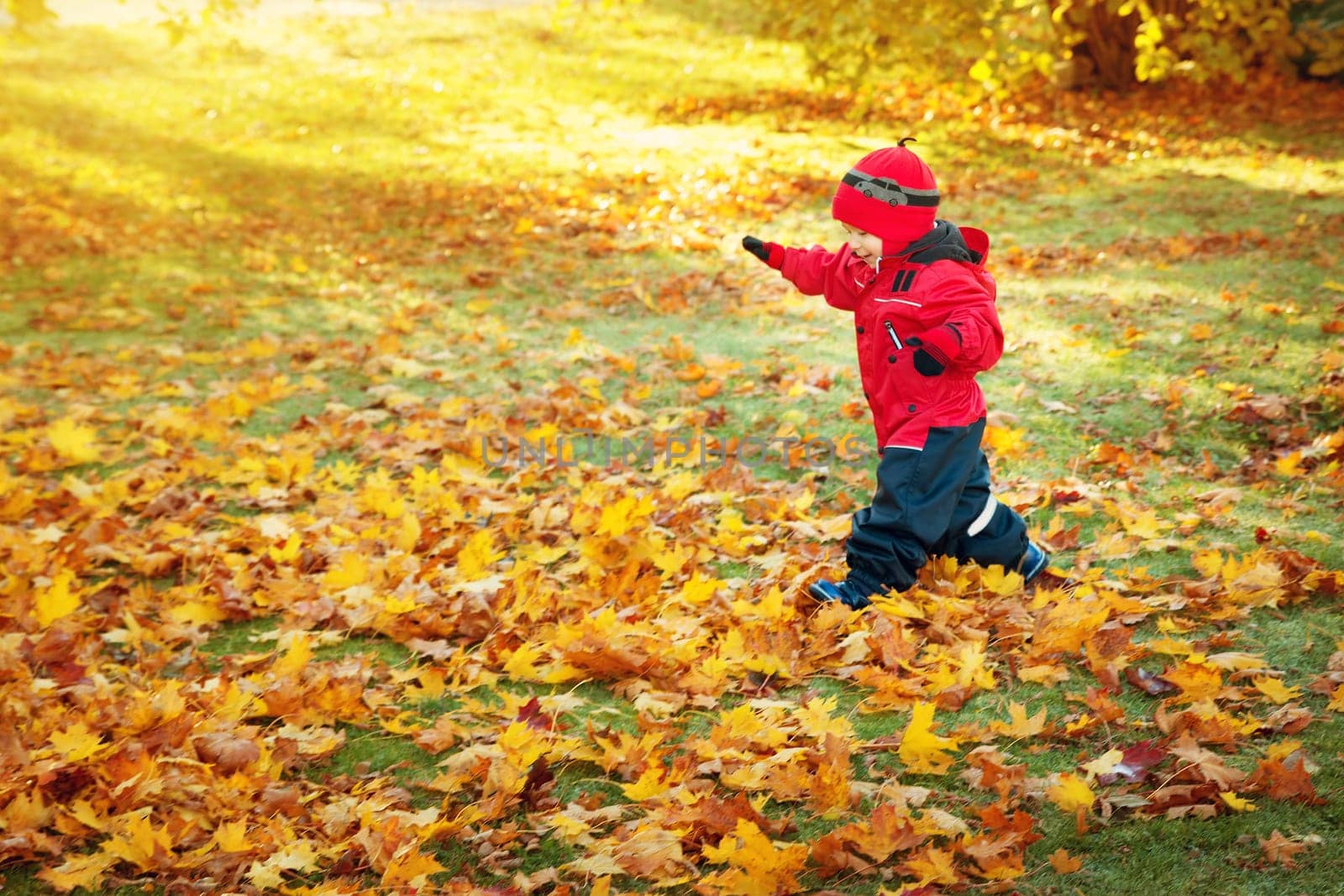 cute child running on the lawn covered with yellow leaves. Boy having fun outdoors in autumn