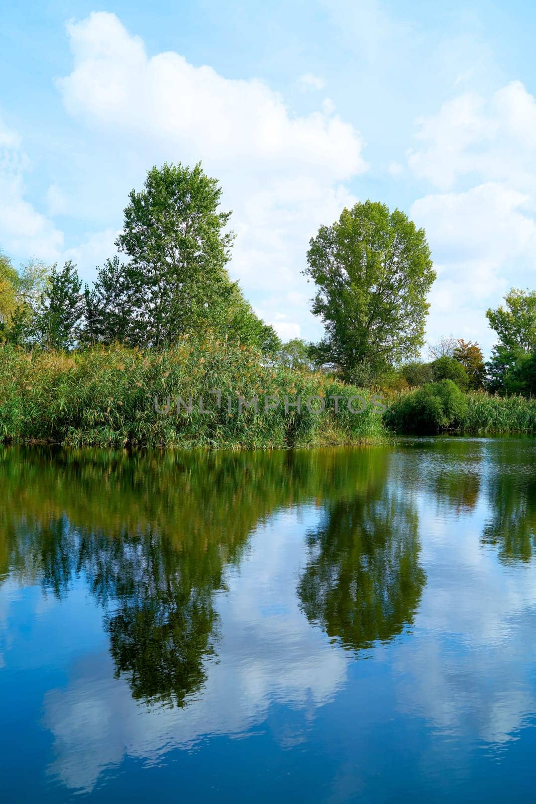 Reflection in a lake in the Zuwachs-Kulzauer Forst nature reserve near Magdeburg