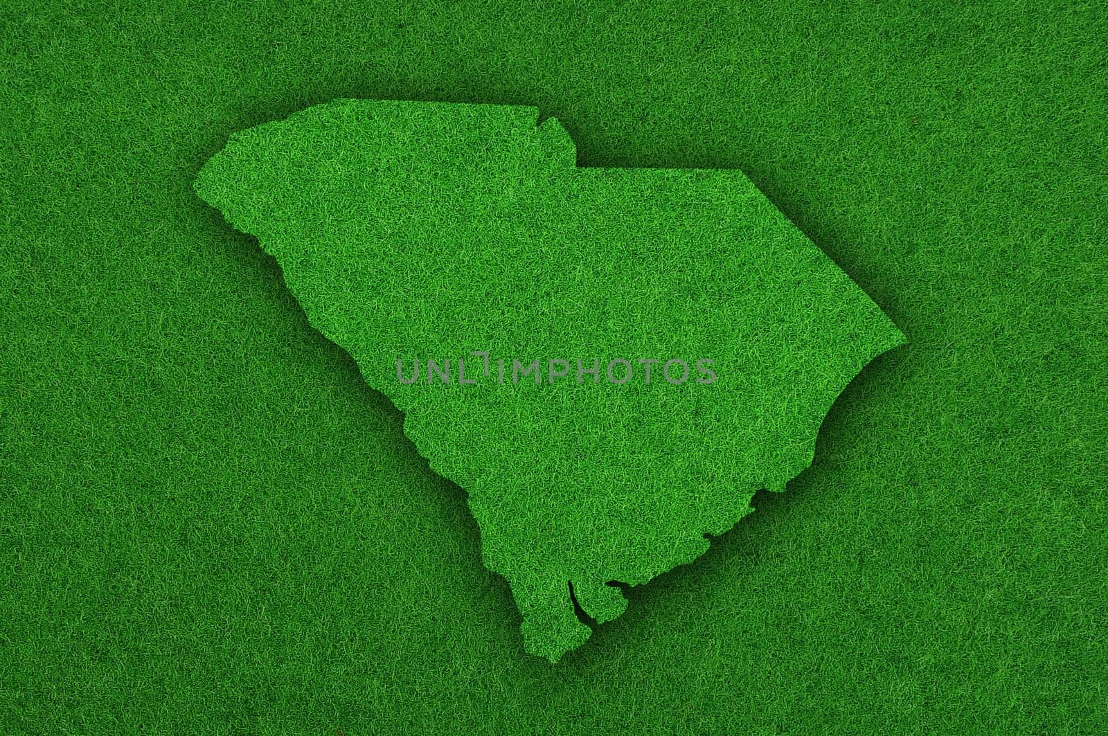 Map of South Carolina on green felt