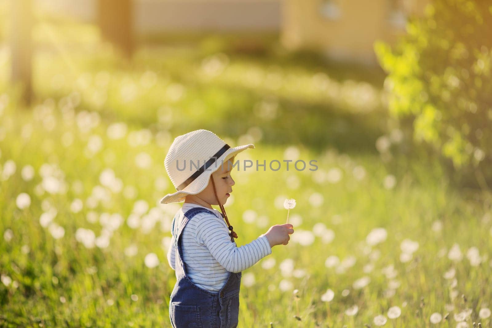 Happy baby boy standing in grass on the fieald with dandelions at sunny summer evening. Smiling child outdoors