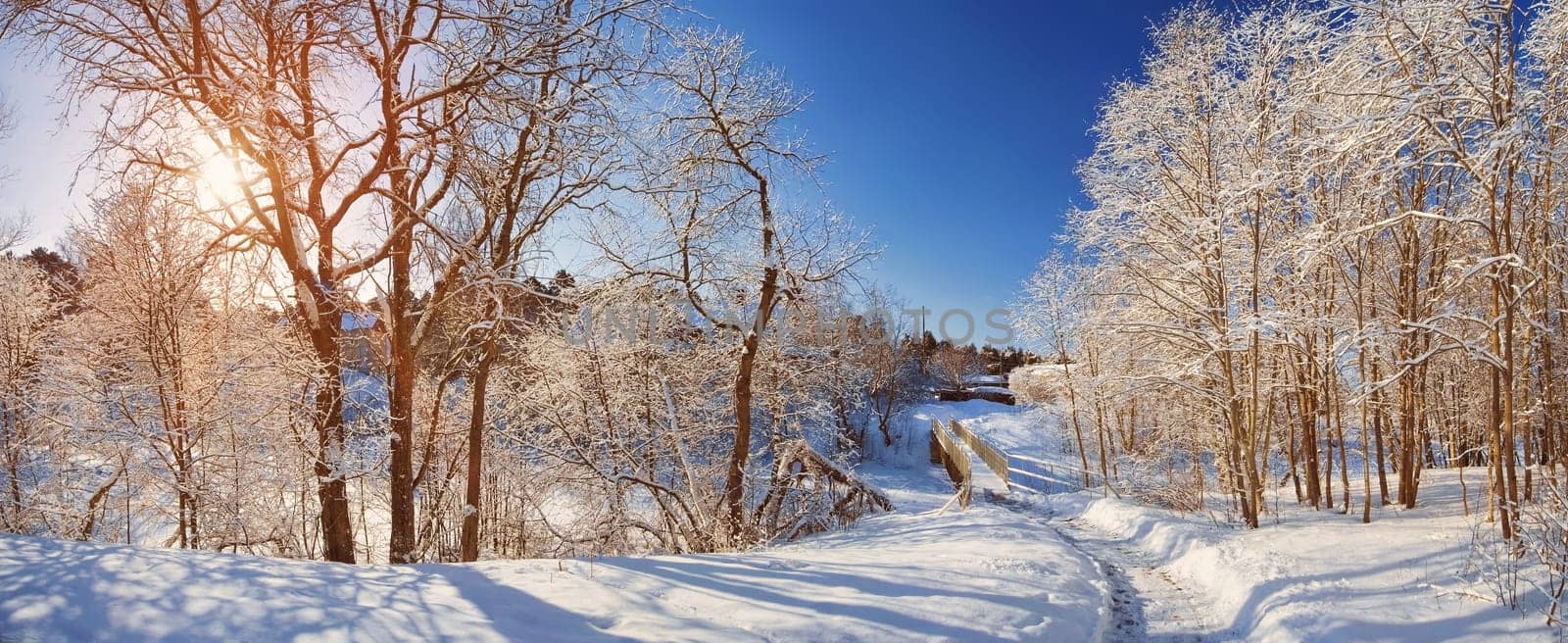winter path and small bridge and trees covered with snow. Beautiful landscape on sunny snowy day