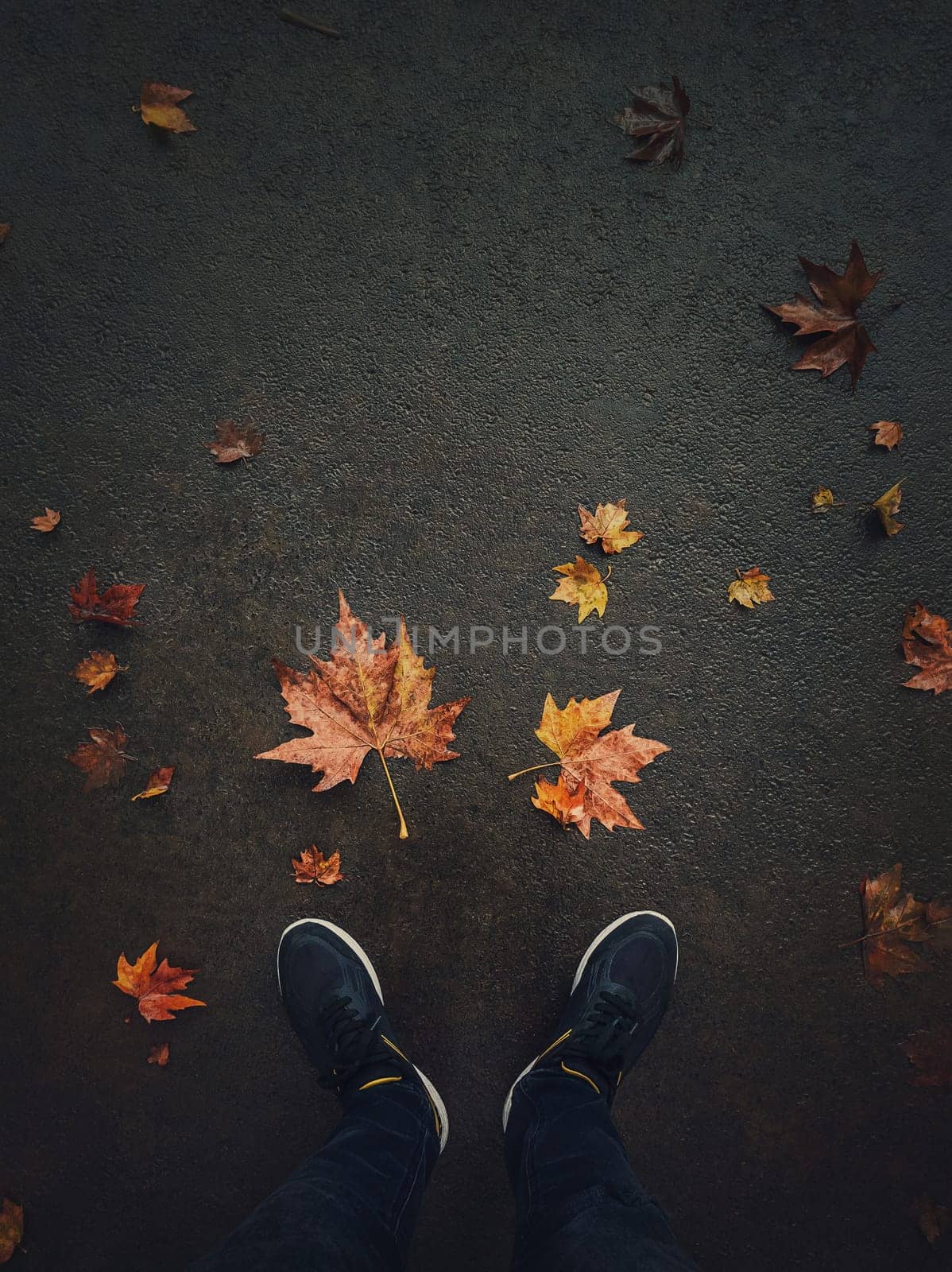 Autumn season lifestyle. High angle view of man feet on the asphalt road with fallen rusted maple leaves. Seasonal background, love fall mood conceptual background. Colorful foliage on the city street