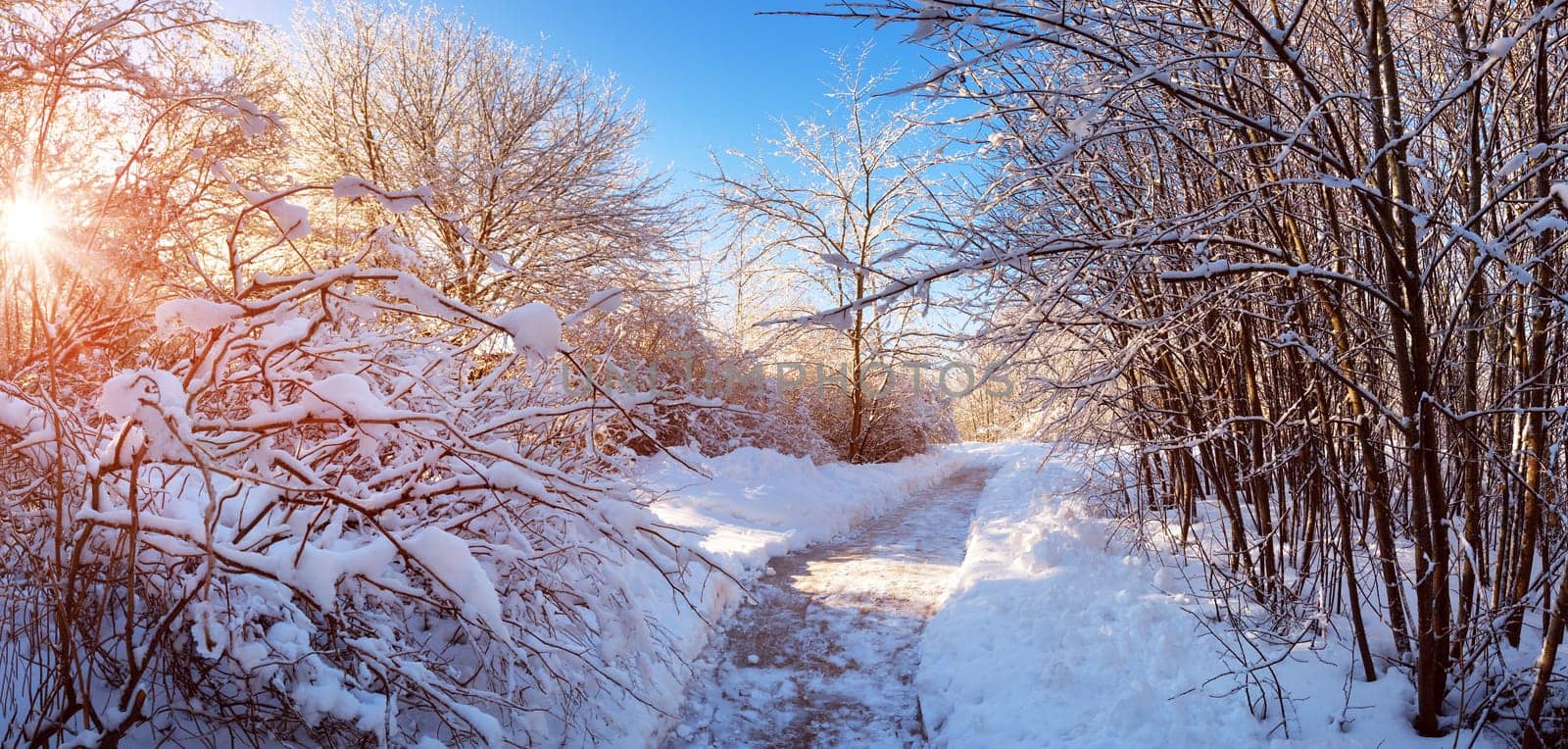 Snowy path in snowy winter morning at countryside with beautiful sunlight