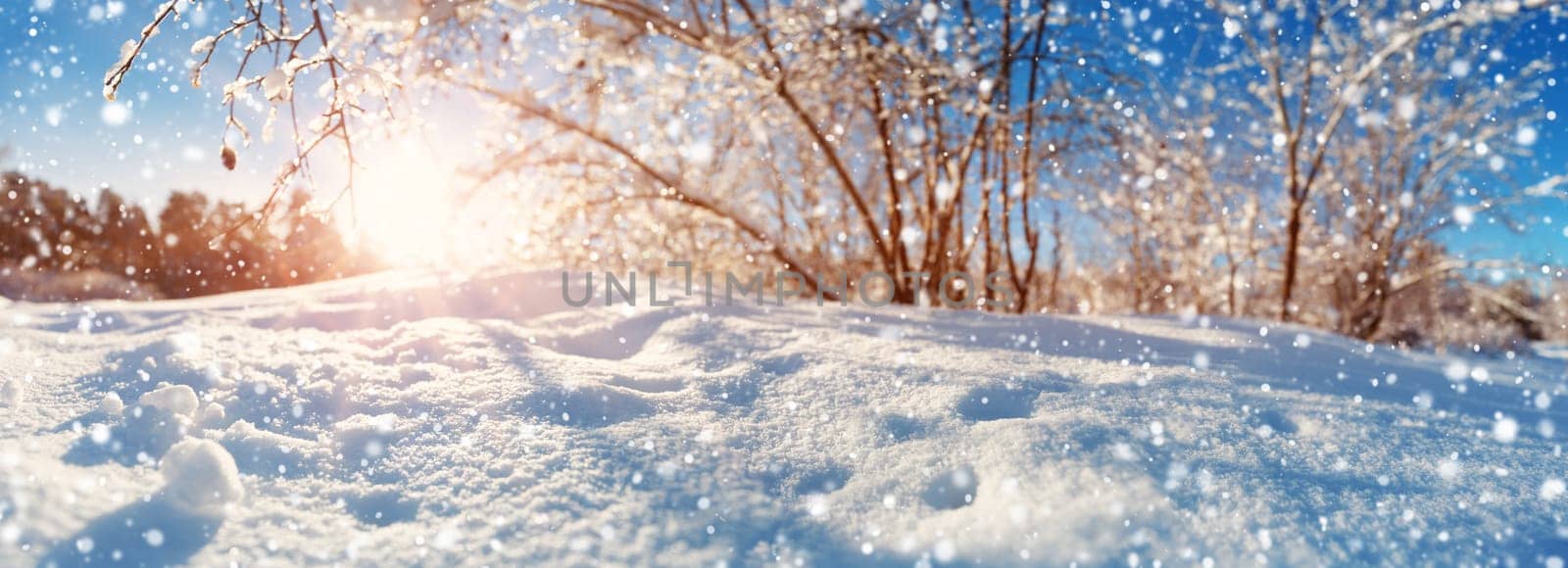 Branches covered with snow on blue sky background in winter