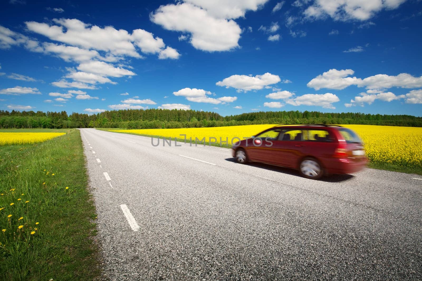Asphalt road panorama in countryside on sunny summer day