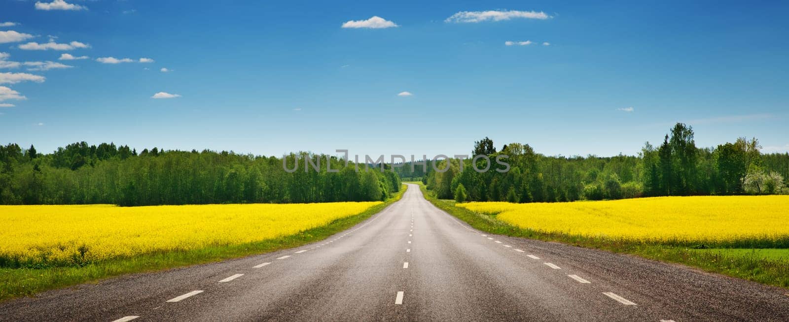 Asphalt road panorama in countryside on sunny summer day