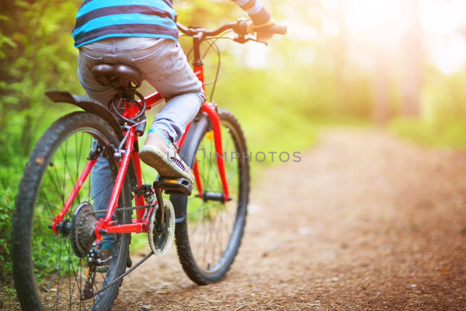 Child on a bicycle in the forest in early morning. Boy cycling outdoors in nature