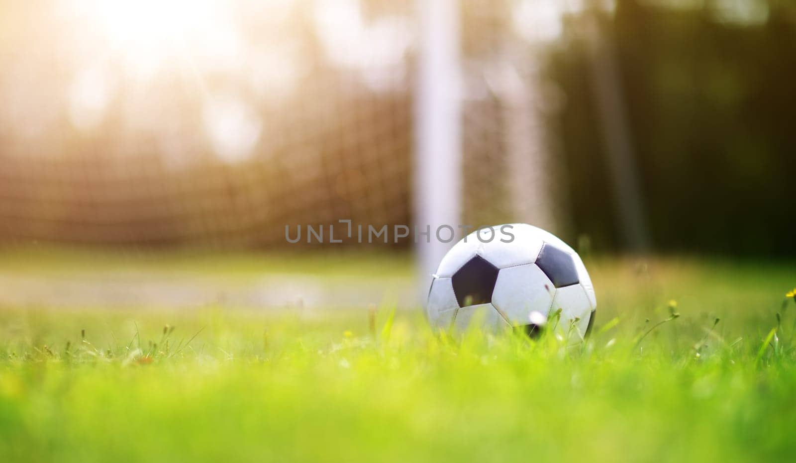 Black and whithe ball lying on green grass in summer