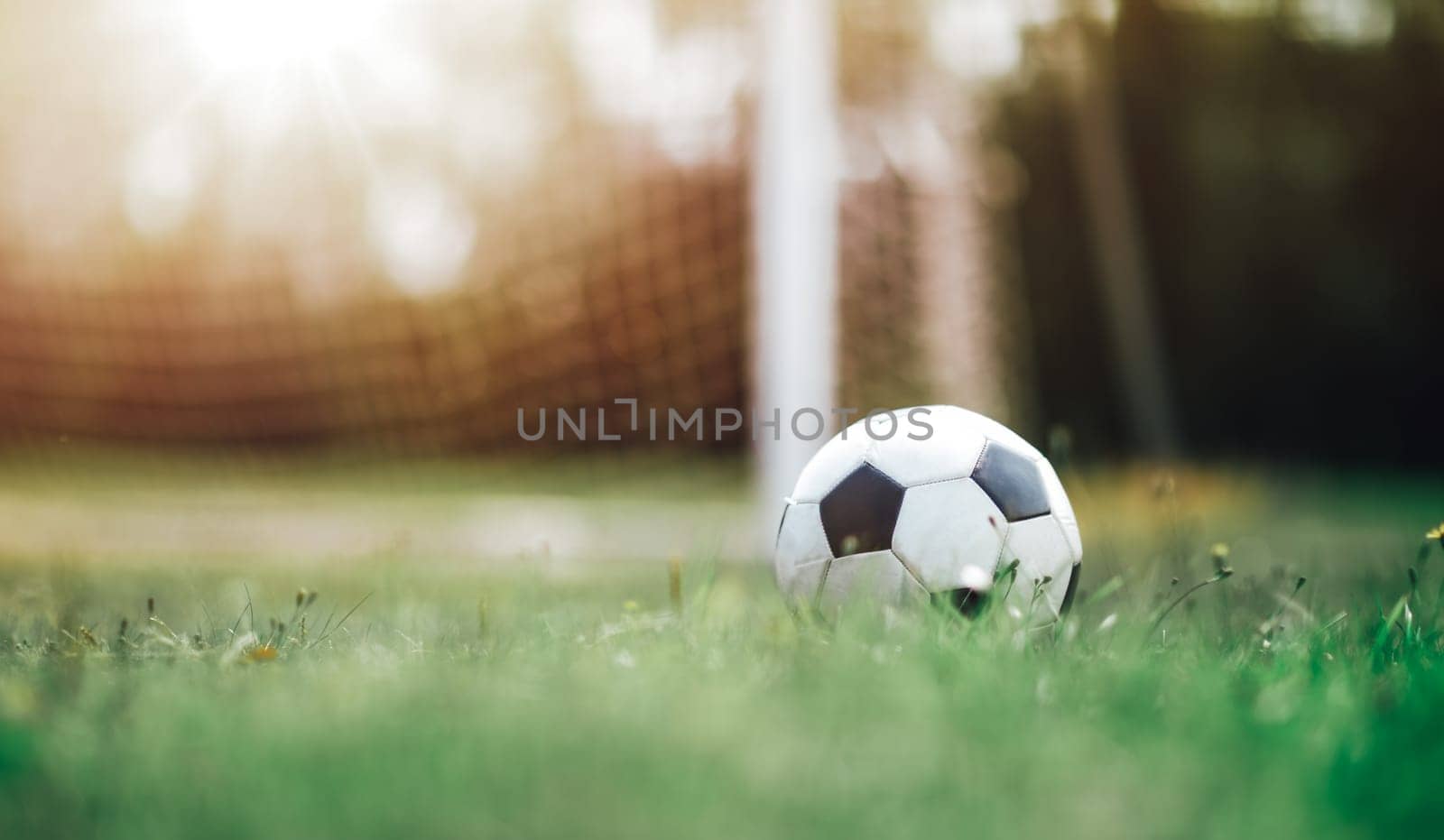 Black and whithe ball lying on green grass in summer