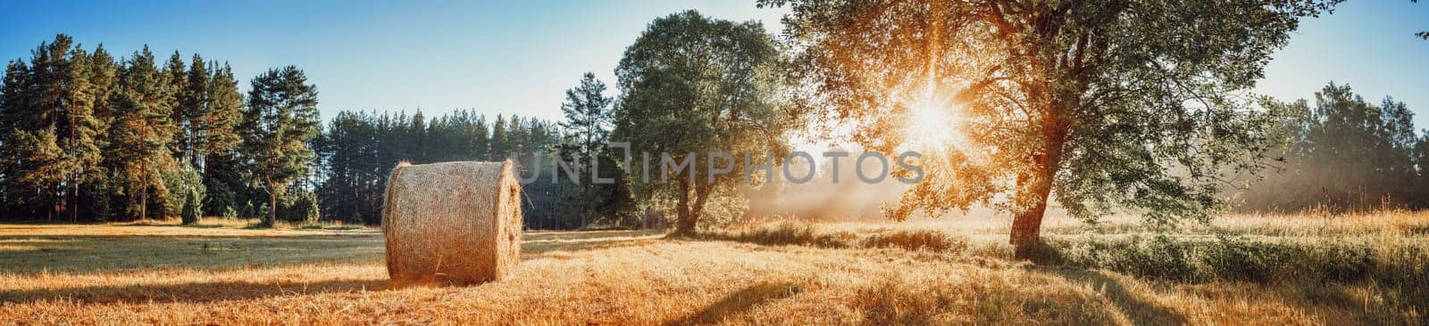 tree foliage in beautiful morning light with sunlight in summer. Sunrise on the field with hay, trees and sun