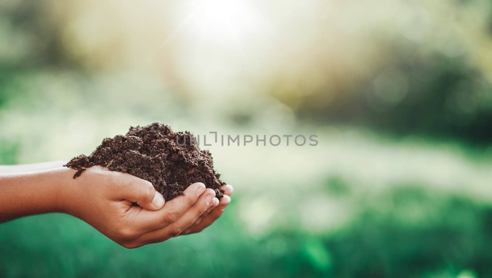Hands of a child taking care of a seedling in the soil. Black dirt on sunny day in the garden in summer