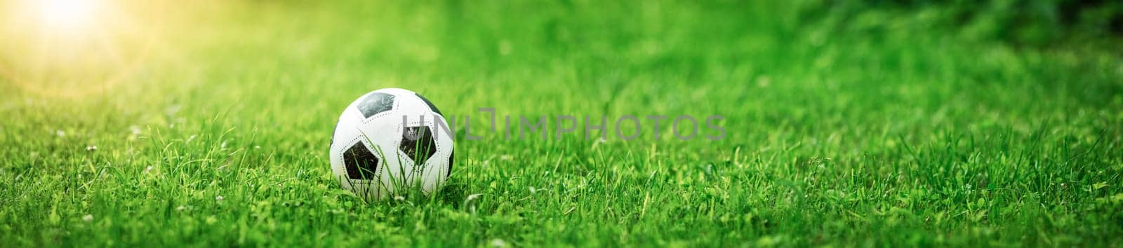 Black and whithe ball lying on green grass in summer