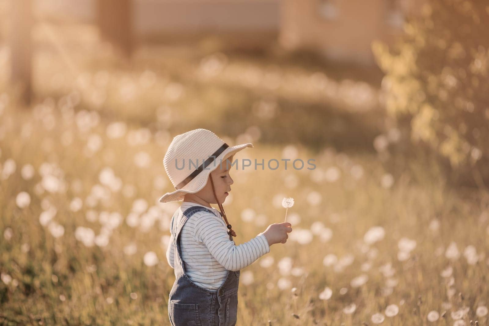 Happy baby boy standing in grass on the fieald with dandelions at sunny summer evening. Smiling child outdoors