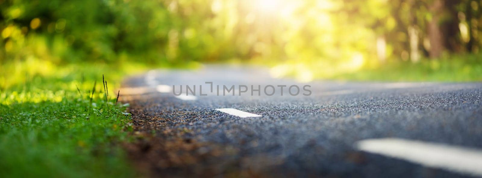 black asphalt road and white dividing lines in the forest
