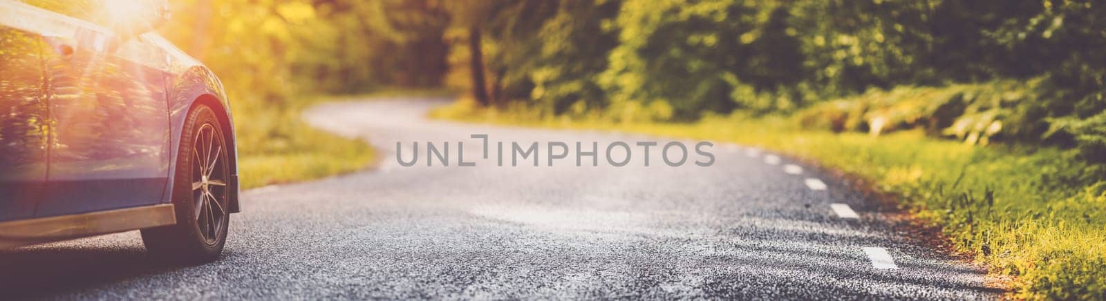 Car on asphalt road on summer day at park