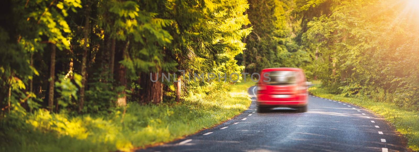 Car on asphalt road on summer day at park