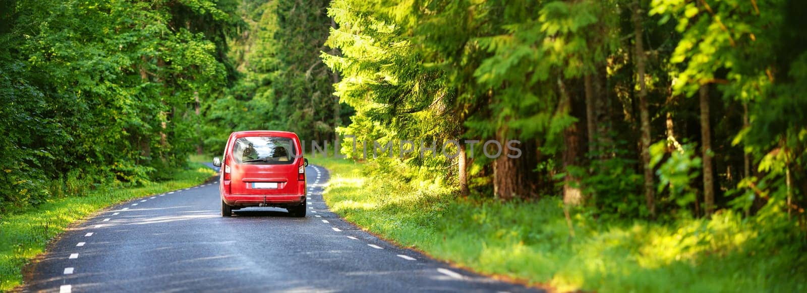 Car on asphalt road on summer day at park
