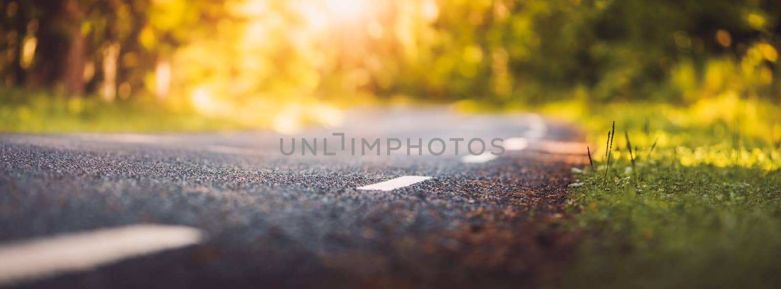 black asphalt road and white dividing lines in the forest