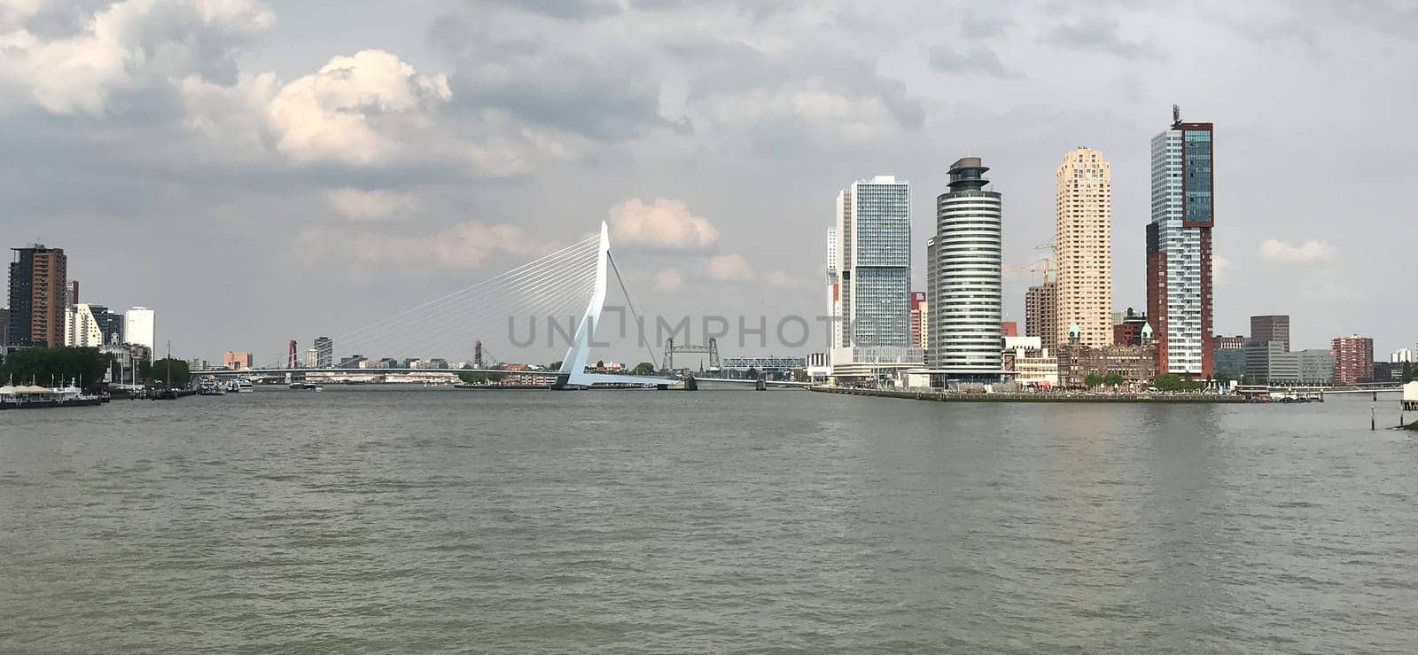 The Rotterdam Skyline with the Erasmusbrug bridge, Netherlands.