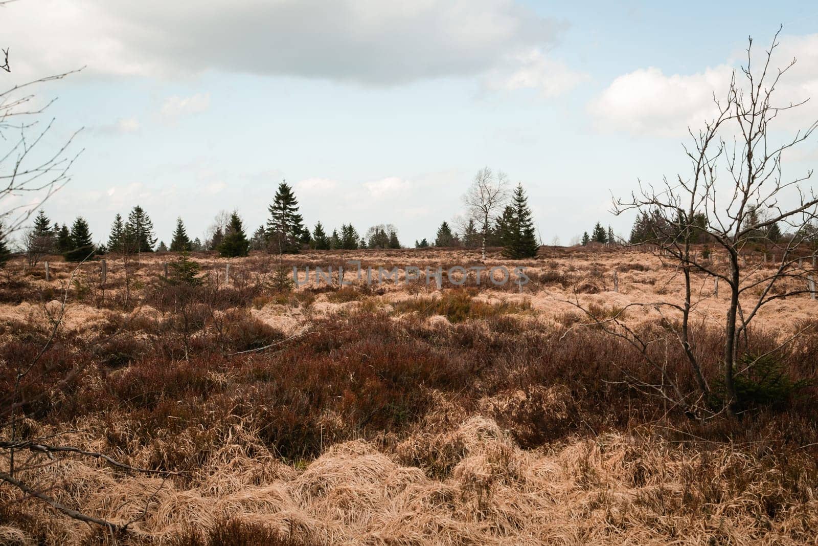 The High Fens, Hoge Venen, Belgium, Signal Van Botrange