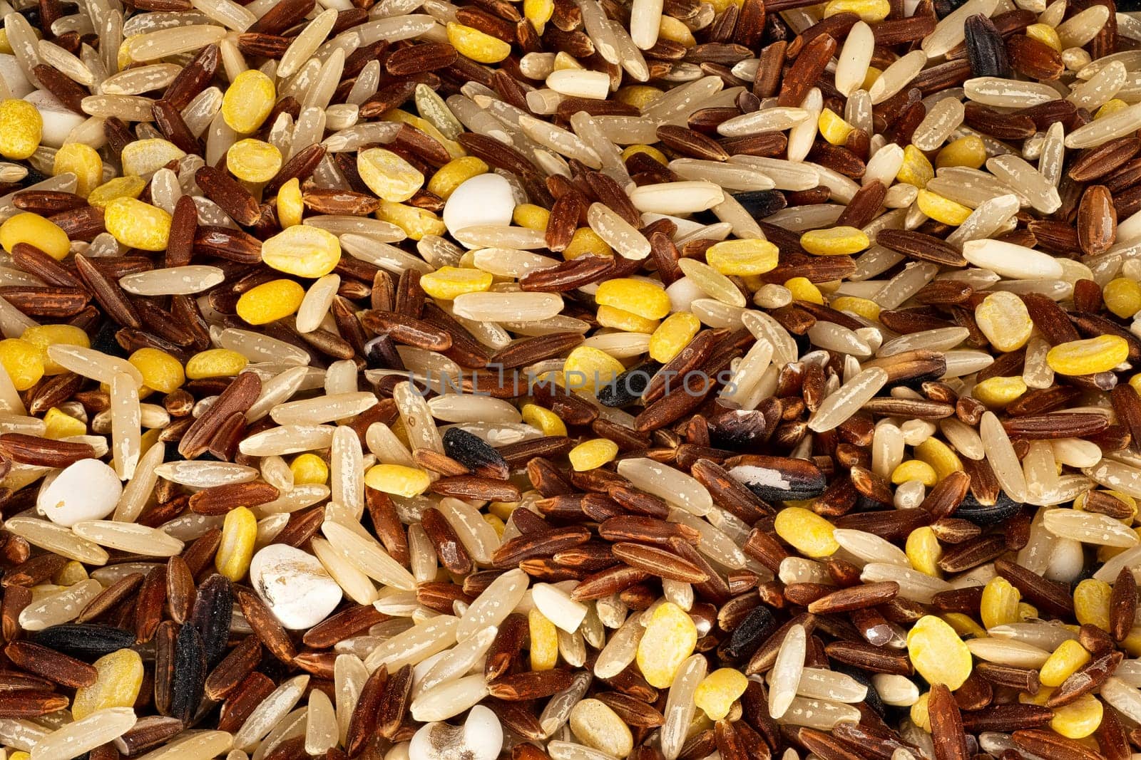 Multigrain Rice, close up and studio shot of rice