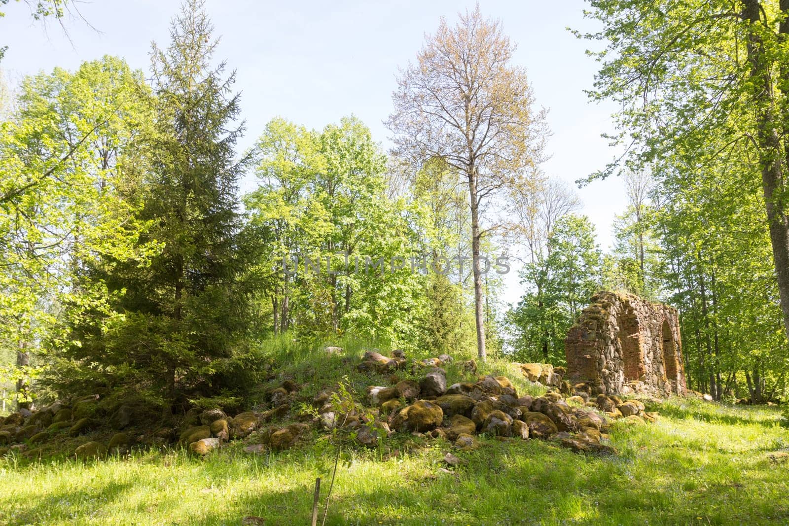 Zvarde Latvia. Abandoned village. Former Soviet army bombing polygon. Ruins of church