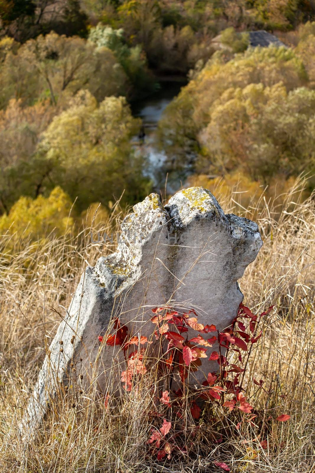 Old Jewish cemetery in the fall. Tombstones on a background of dry grass in a cemetery. The Jewish cemetery is a kirkut in the urban-type village of Satanov of Ukraine.