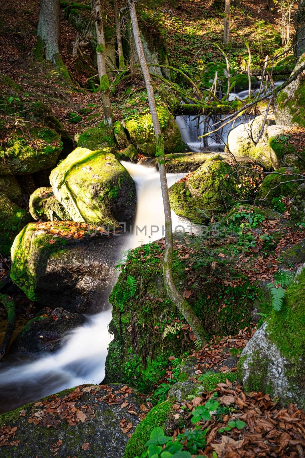 Stream Through Autumn Forest, landscape with flowing water