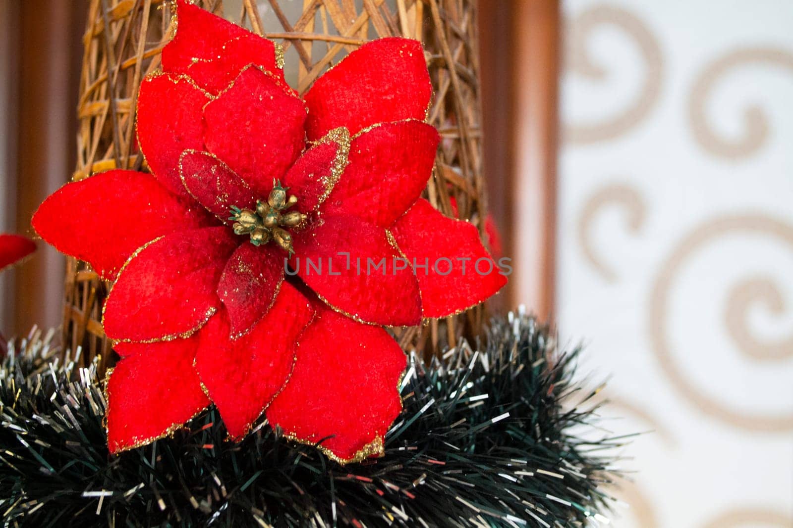 Red poinsettia decoration close up. Christmas flower card concept