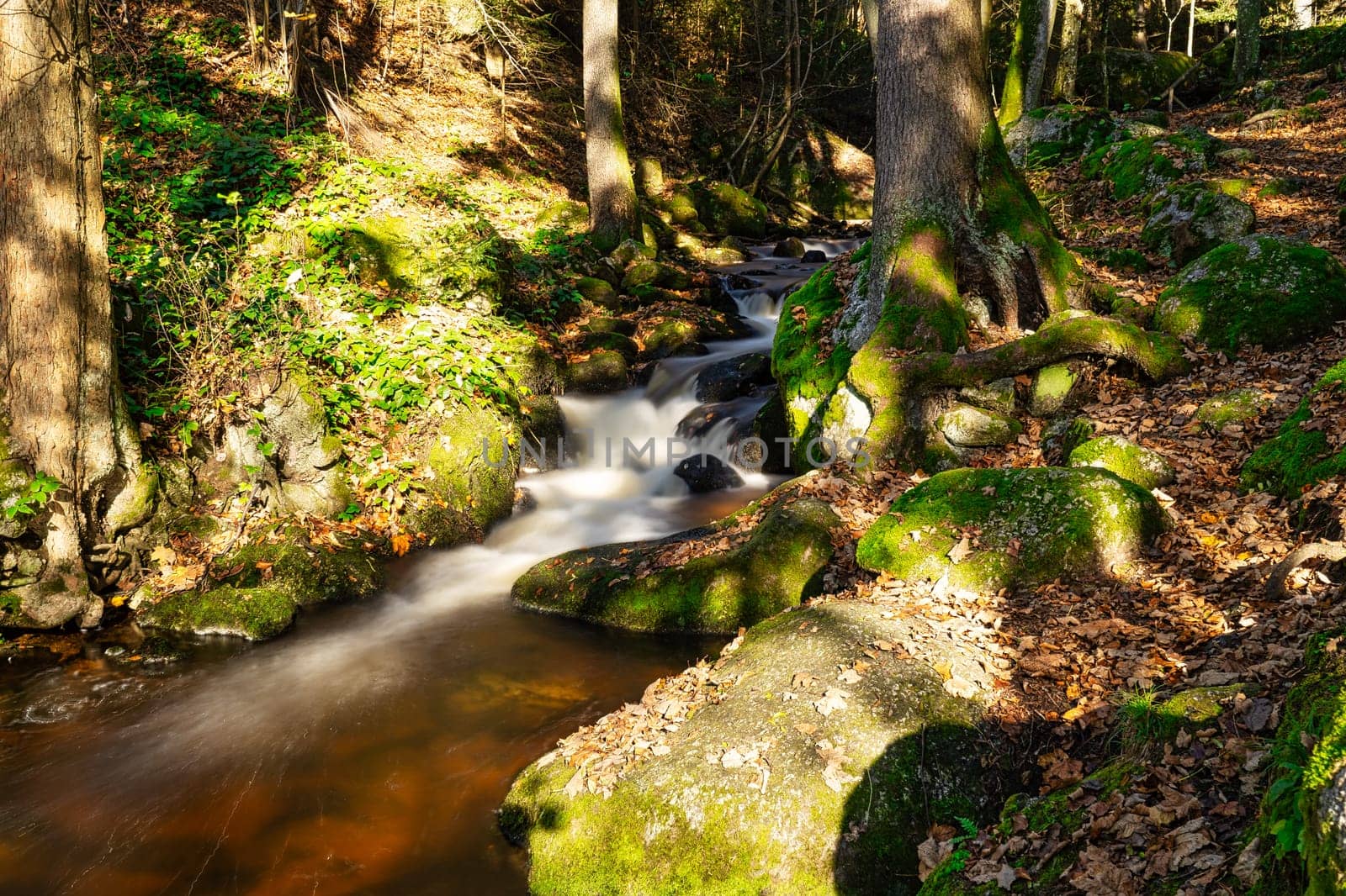 Stream Through Autumn Forest, landscape with flowing water