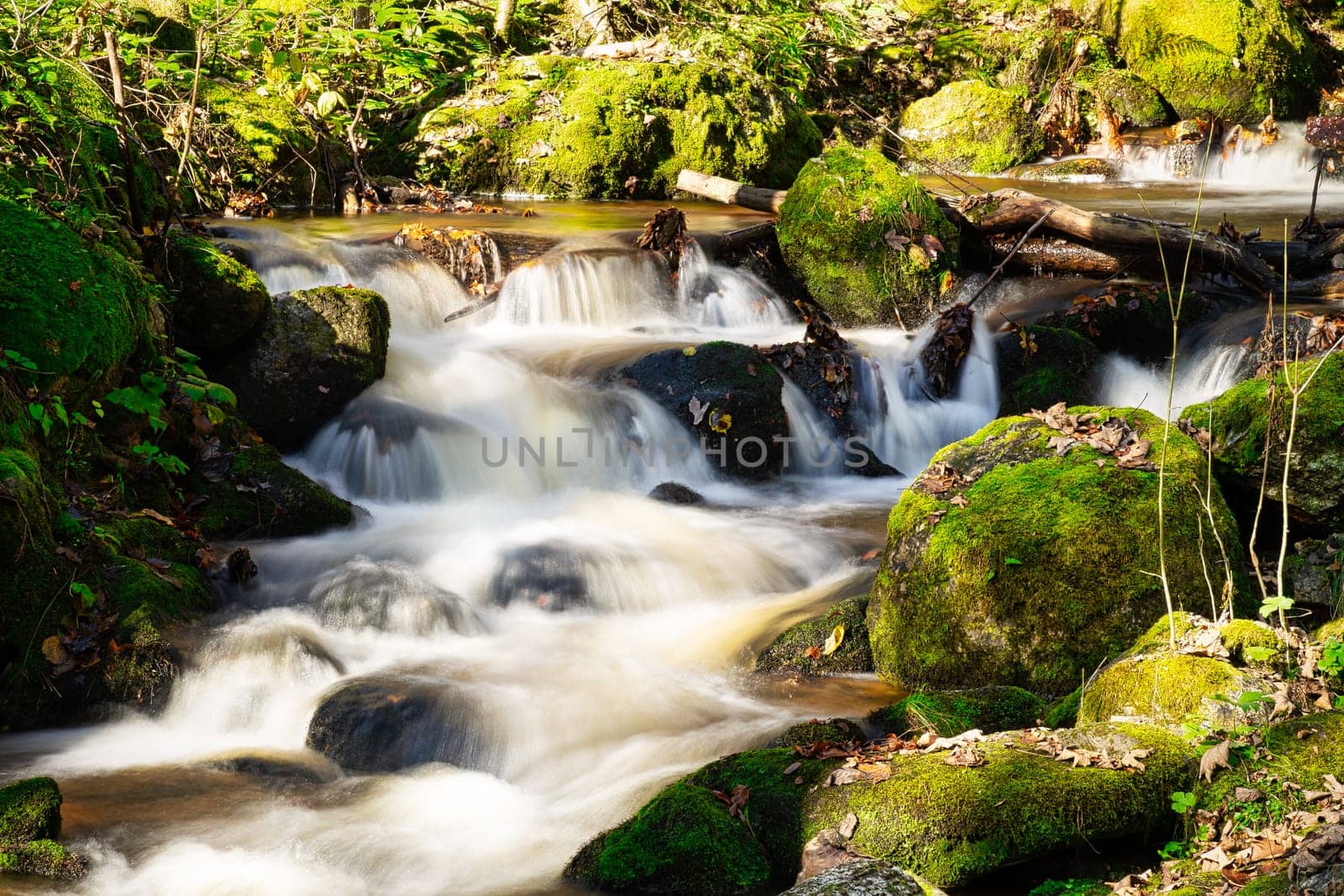 Stream Through Autumn Forest, landscape with flowing water