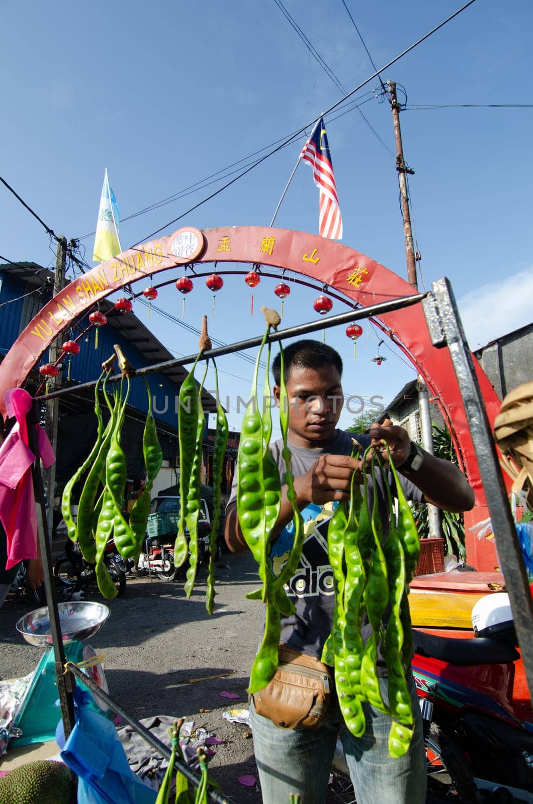Bukit Mertajam, Penang/Malaysia - Aug 28 2016: Malays hawkers sell petai fruit in the outdoor morning market.